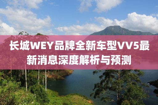 長城WEY品牌全新車型VV5最新消息深度解析與預(yù)測