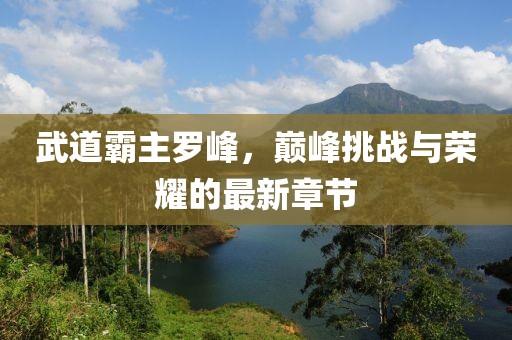 武道霸主羅峰，巔峰挑戰(zhàn)與榮耀的最新章節(jié)