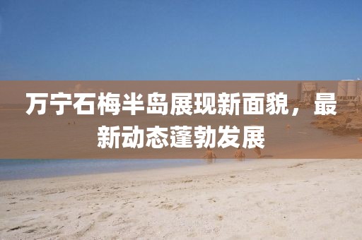 萬寧石梅半島展現(xiàn)新面貌，最新動態(tài)蓬勃發(fā)展