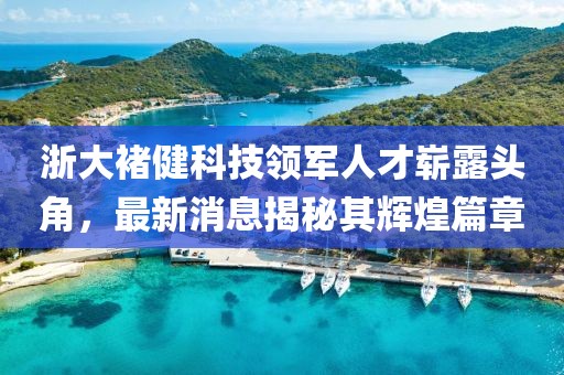 浙大褚健科技領(lǐng)軍人才嶄露頭角，最新消息揭秘其輝煌篇章