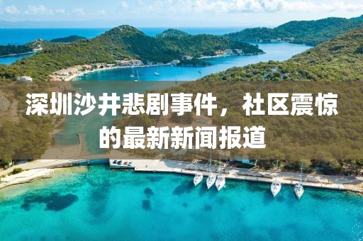 深圳沙井悲劇事件，社區(qū)震驚的最新新聞報道
