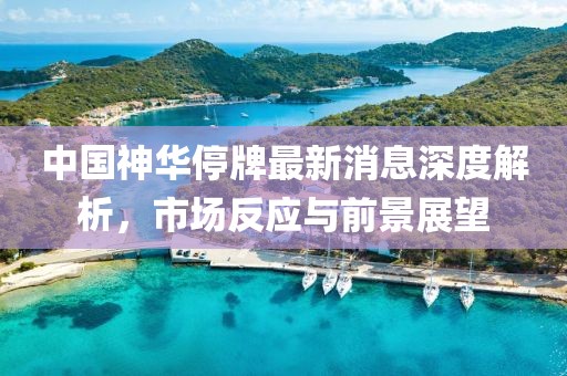 中國神華停牌最新消息深度解析，市場反應(yīng)與前景展望
