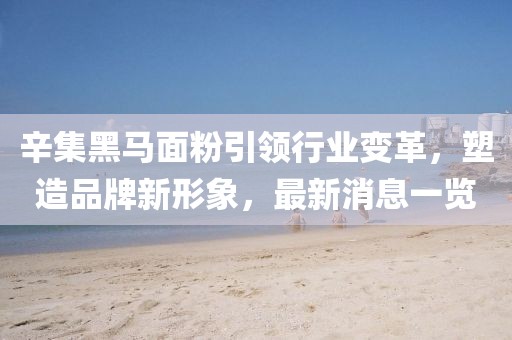 辛集黑馬面粉引領行業(yè)變革，塑造品牌新形象，最新消息一覽