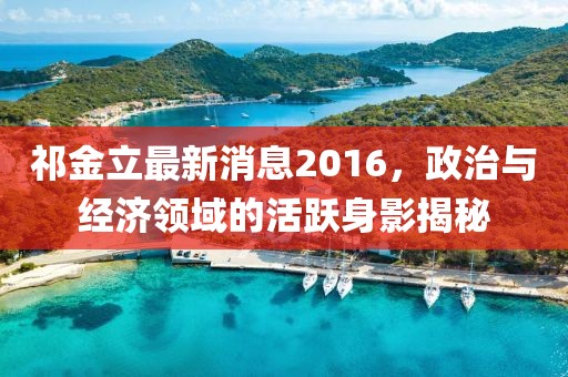 祁金立最新消息2016，政治與經(jīng)濟(jì)領(lǐng)域的活躍身影揭秘