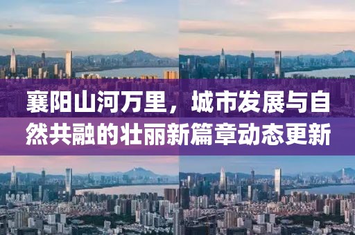 怕你松手 第18頁(yè)