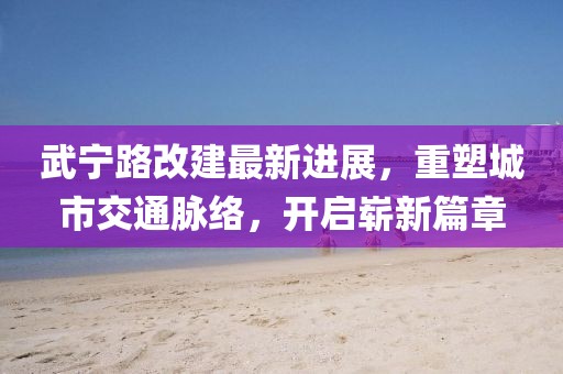 武寧路改建最新進展，重塑城市交通脈絡，開啟嶄新篇章