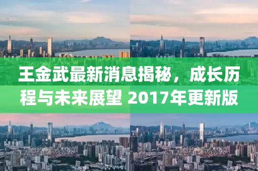 王金武最新消息揭秘，成長歷程與未來展望 2017年更新版