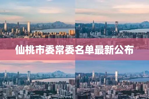 仙桃市委常委名單最新公布