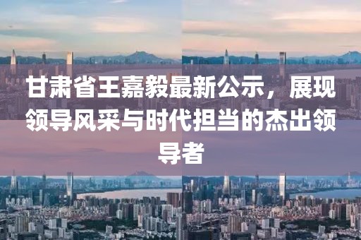 甘肅省王嘉毅最新公示，展現(xiàn)領(lǐng)導(dǎo)風(fēng)采與時(shí)代擔(dān)當(dāng)?shù)慕艹鲱I(lǐng)導(dǎo)者