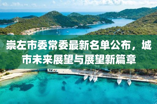 崇左市委常委最新名單公布，城市未來(lái)展望與展望新篇章