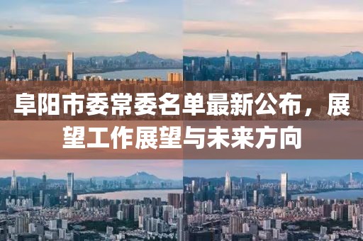 阜陽市委常委名單最新公布，展望工作展望與未來方向