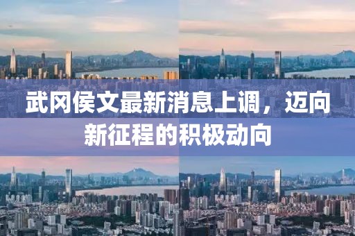 溫柔不夠 第13頁(yè)