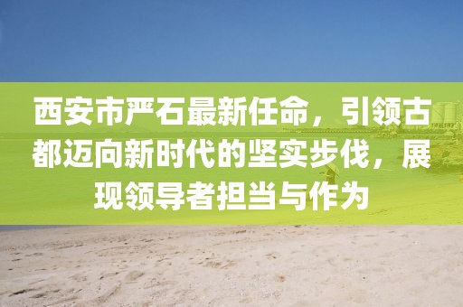 西安市嚴(yán)石最新任命，引領(lǐng)古都邁向新時(shí)代的堅(jiān)實(shí)步伐，展現(xiàn)領(lǐng)導(dǎo)者擔(dān)當(dāng)與作為