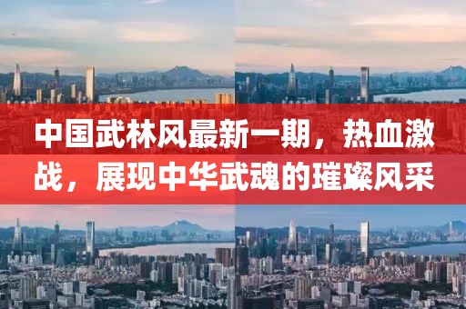 中國武林風(fēng)最新一期，熱血激戰(zhàn)，展現(xiàn)中華武魂的璀璨風(fēng)采