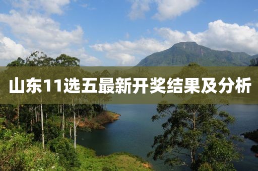 山東11選五最新開獎結(jié)果及分析