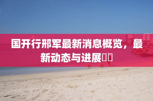 國開行邢軍最新消息概覽，最新動態(tài)與進展??