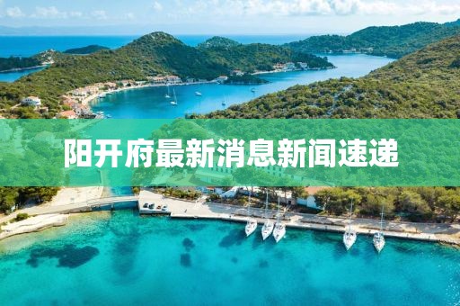 陽開府最新消息新聞速遞