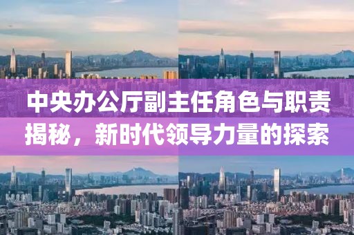 中央辦公廳副主任角色與職責揭秘，新時代領導力量的探索