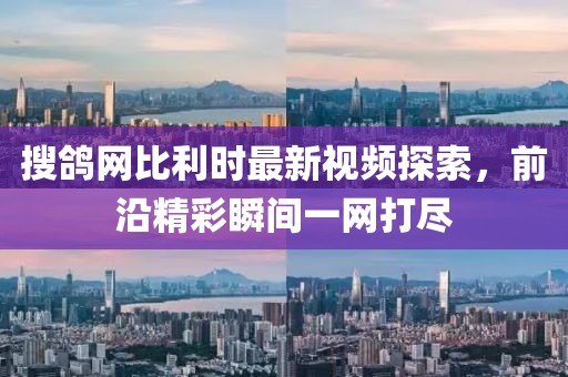 搜鴿網(wǎng)比利時(shí)最新視頻探索，前沿精彩瞬間一網(wǎng)打盡