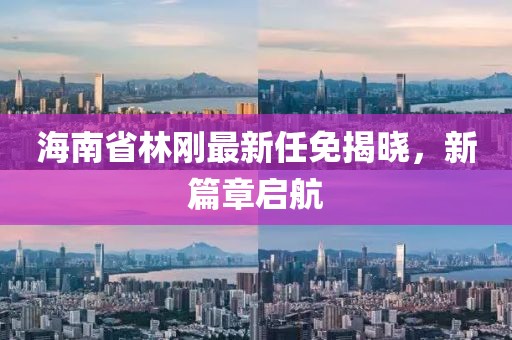 海南省林剛最新任免揭曉，新篇章啟航