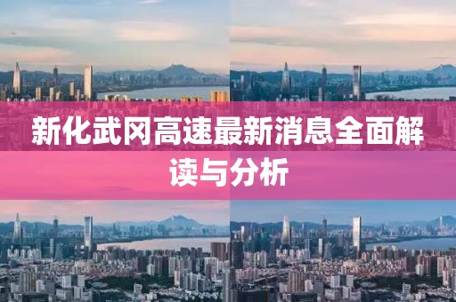 新化武岡高速最新消息全面解讀與分析