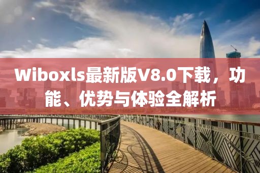 Wiboxls最新版V8.0下載，功能、優(yōu)勢(shì)與體驗(yàn)全解析