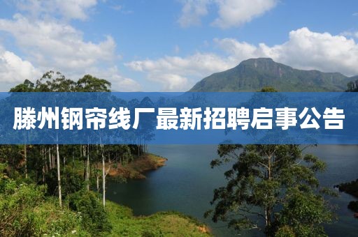 滕州鋼簾線廠最新招聘啟事公告