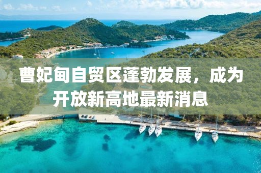 曹妃甸自貿(mào)區(qū)蓬勃發(fā)展，成為開放新高地最新消息