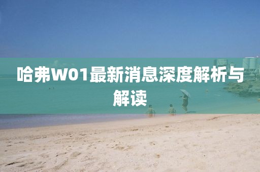 哈弗W01最新消息深度解析與解讀