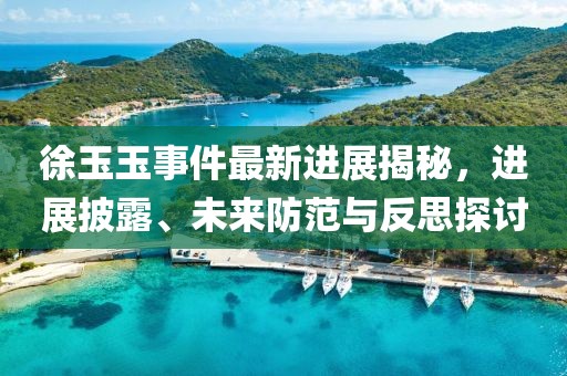 徐玉玉事件最新進(jìn)展揭秘，進(jìn)展披露、未來防范與反思探討