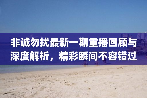 非誠(chéng)勿擾最新一期重播回顧與深度解析，精彩瞬間不容錯(cuò)過