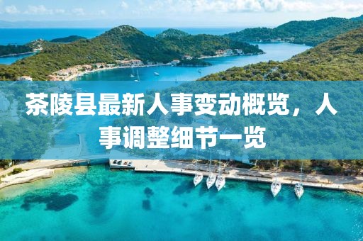 茶陵縣最新人事變動(dòng)概覽，人事調(diào)整細(xì)節(jié)一覽
