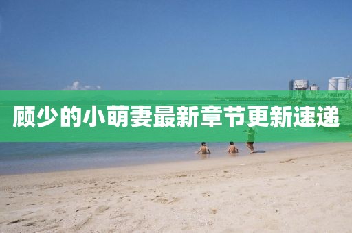 顧少的小萌妻最新章節(jié)更新速遞