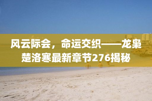風(fēng)云際會(huì)，命運(yùn)交織——龍梟楚洛寒最新章節(jié)276揭秘