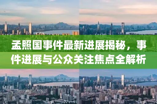 孟照國事件最新進展揭秘，事件進展與公眾關(guān)注焦點全解析