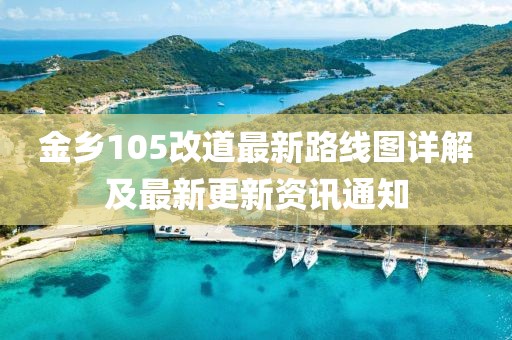 金鄉(xiāng)105改道最新路線圖詳解及最新更新資訊通知