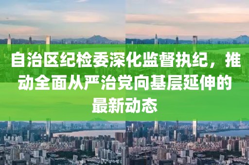 自治區(qū)紀(jì)檢委深化監(jiān)督執(zhí)紀(jì)，推動全面從嚴(yán)治黨向基層延伸的最新動態(tài)