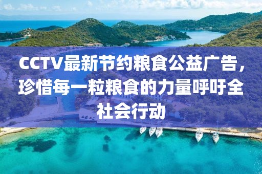 CCTV最新節(jié)約糧食公益廣告，珍惜每一粒糧食的力量呼吁全社會(huì)行動(dòng)