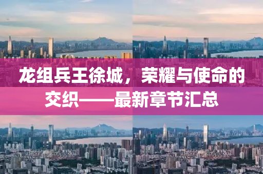 龍組兵王徐城，榮耀與使命的交織——最新章節(jié)匯總