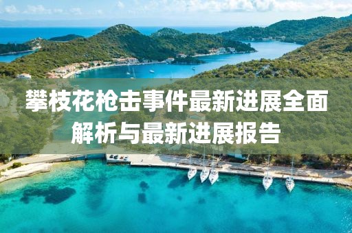 攀枝花槍擊事件最新進(jìn)展全面解析與最新進(jìn)展報(bào)告