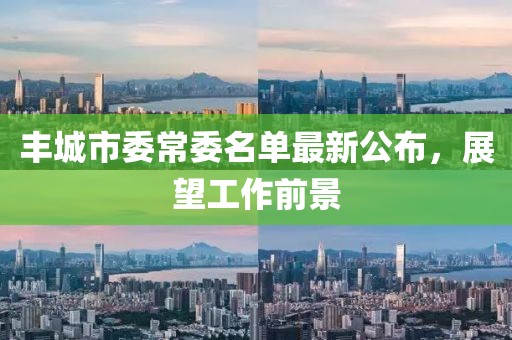 豐城市委常委名單最新公布，展望工作前景