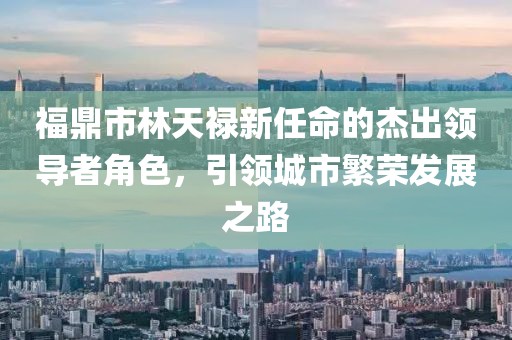 福鼎市林天祿新任命的杰出領(lǐng)導(dǎo)者角色，引領(lǐng)城市繁榮發(fā)展之路