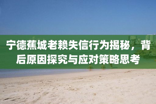 寧德蕉城老賴失信行為揭秘，背后原因探究與應(yīng)對策略思考