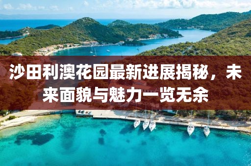 沙田利澳花園最新進展揭秘，未來面貌與魅力一覽無余