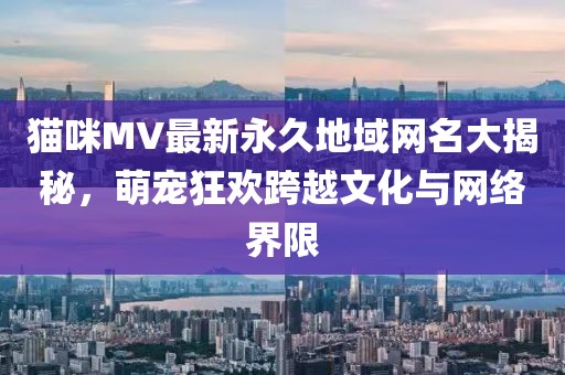 貓咪MV最新永久地域網(wǎng)名大揭秘，萌寵狂歡跨越文化與網(wǎng)絡(luò)界限