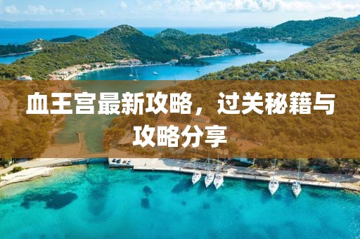 血王宮最新攻略，過關(guān)秘籍與攻略分享