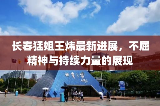 長(zhǎng)春猛姐王煒最新進(jìn)展，不屈精神與持續(xù)力量的展現(xiàn)