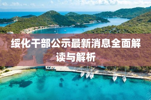 綏化干部公示最新消息全面解讀與解析