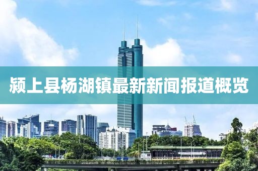 潁上縣楊湖鎮(zhèn)最新新聞報道概覽