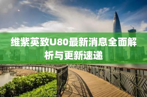 維紫英致U80最新消息全面解析與更新速遞
